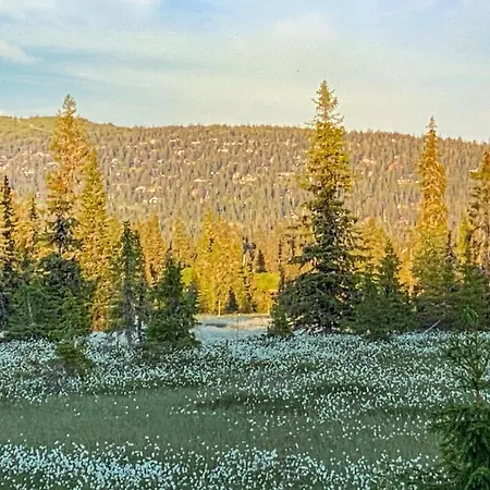Дом отдыха Beautiful In *