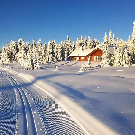 Holiday home Beautiful In Sjusjoen