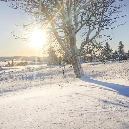 Beautiful In Sjusjoen