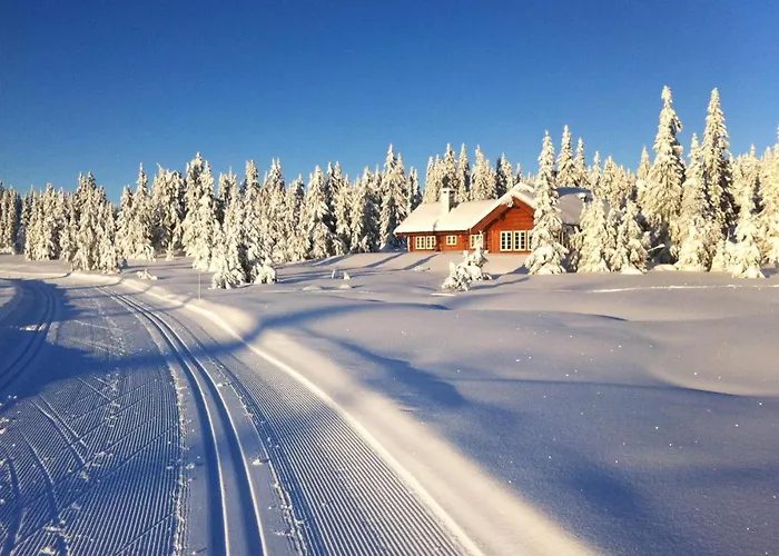 Semesterbostad Beautiful In Sjusjoen