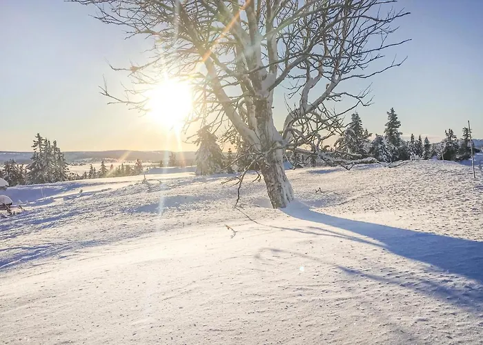 Beautiful In Sjusjoen