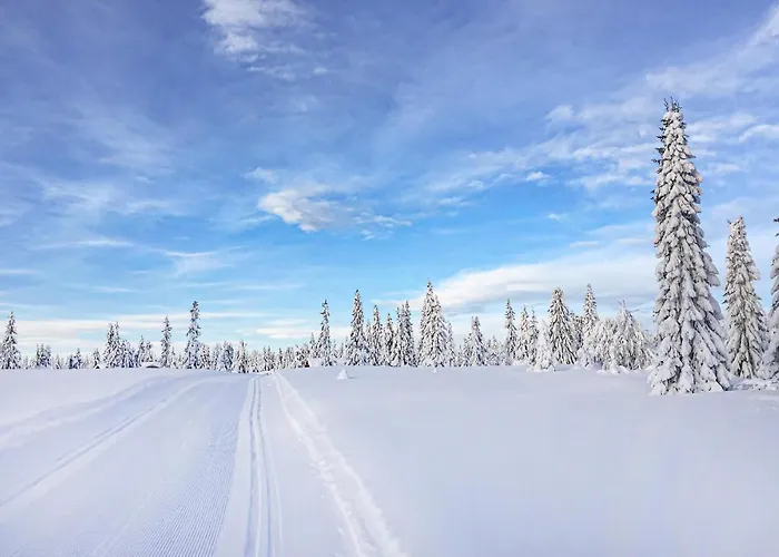 Ferienhaus Beautiful In